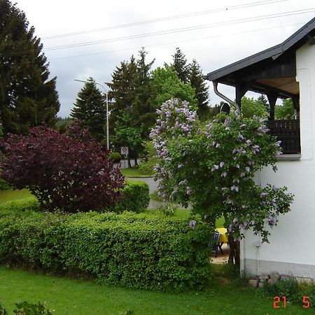 Urlaub Auf Dem Bauernhof Marx Villa Kelberg Exterior photo